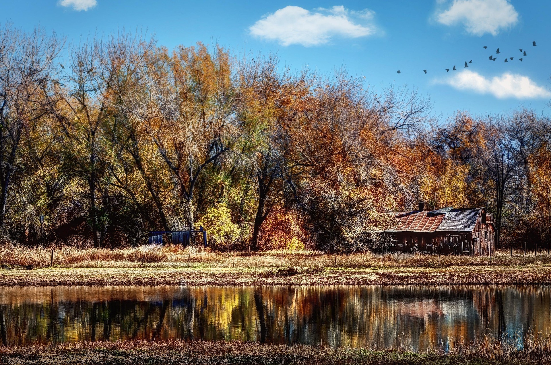 Fort_Collins_Image